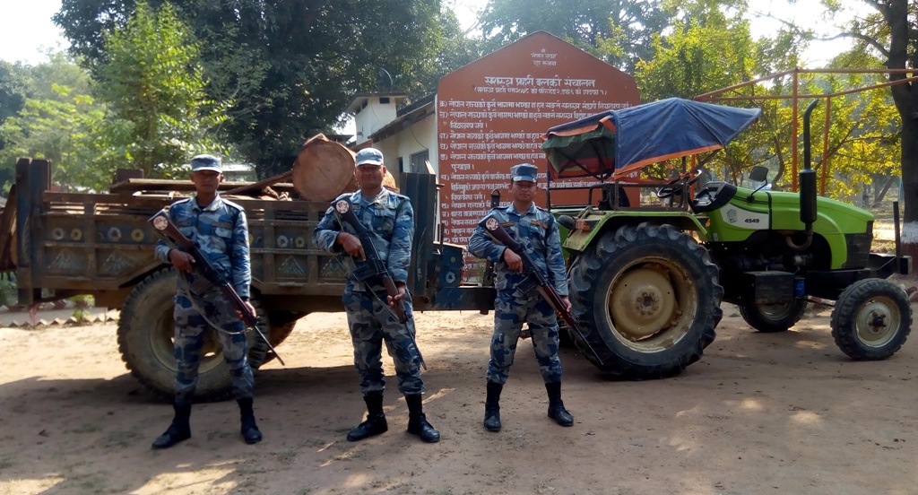 सशस्त्र प्रहरीद्वारा ट्रयाक्टरसहित सालको अबैध काठ बरामद