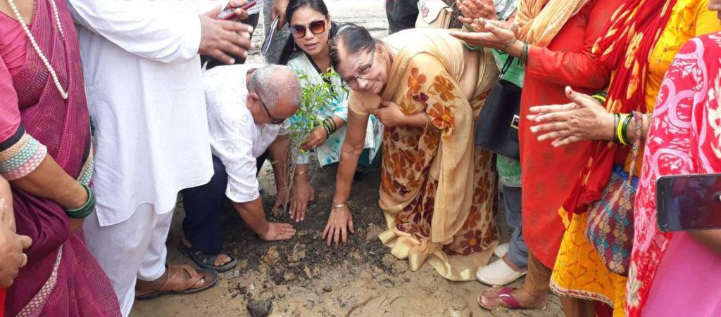 विपी अध्ययन प्रतिष्ठान बाँकेद्वारा बृक्षारोपण