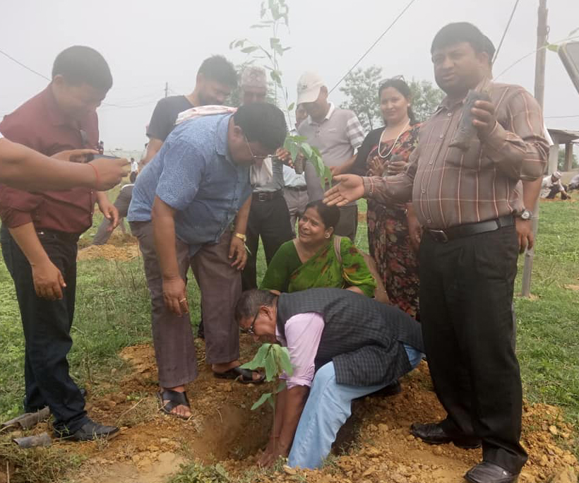 कोहलपुरद्वारा ग्रीनबेल्टमा वृक्षारोपण