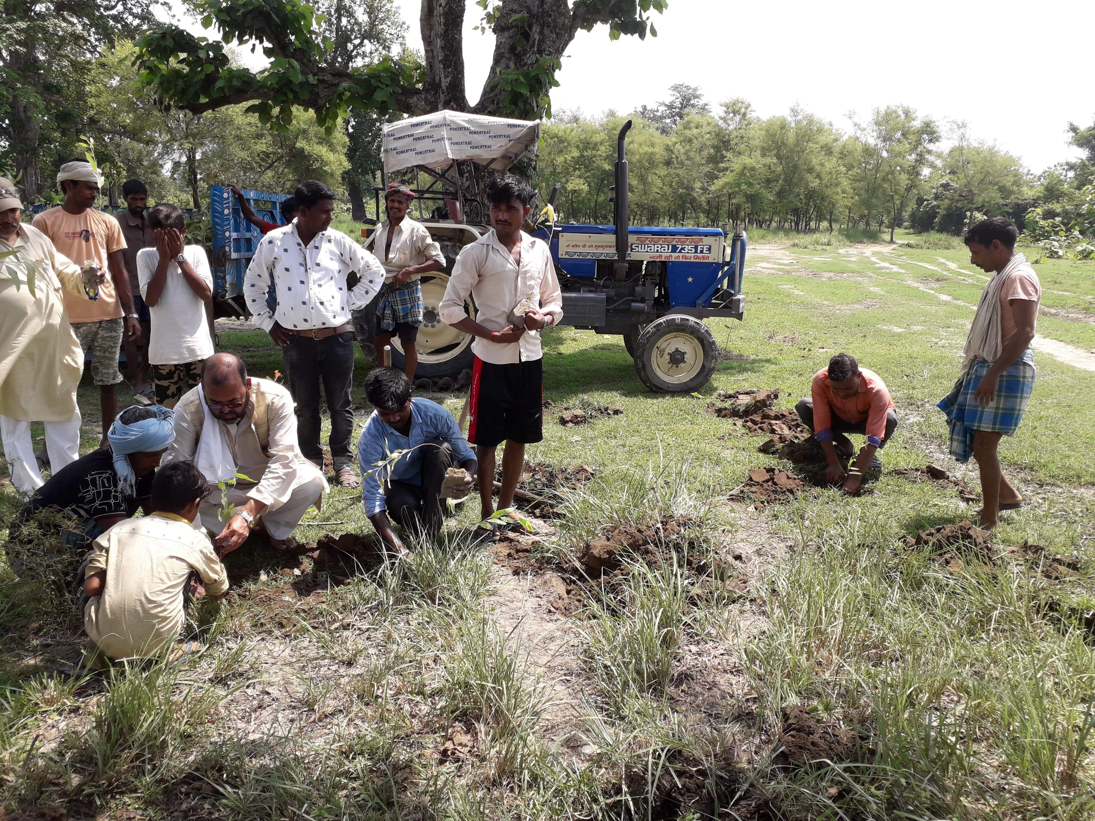 नरैनापुरमा बृहत् बृक्षारोपण, २० हजार बिरुवा रोपिँदै