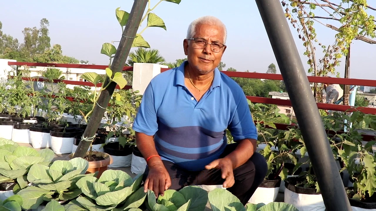 भृकुटीनगरका स्थानीयले सुरुगरे कौशीमा तरकारी खेती