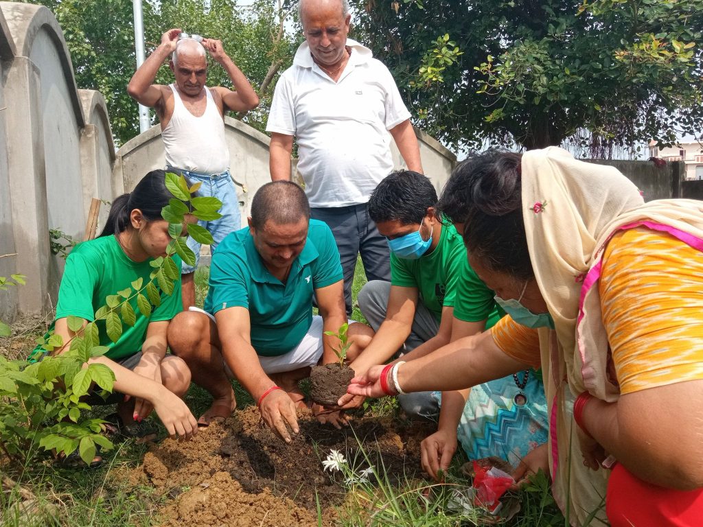 नेपालगञ्जमा कल्पबृक्षको बिरुवा रोपिँदै