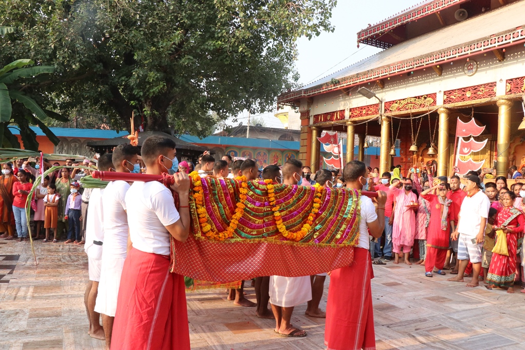 बडा दशैको फूलपाती भित्र्याई मनाईदै