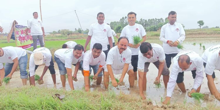 बुधवार राष्ट्रीय धान दिवस, बाँकेमा रोपाई महोत्सव मनाइयो