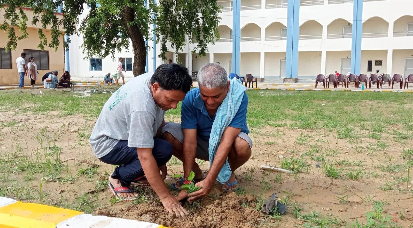 मंगल प्रसाद महिला कलेजमा वृक्षारोपण