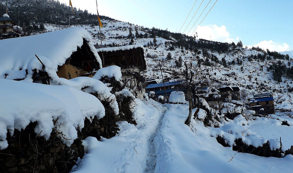 हिमपात र वर्षाले जुम्लाका किसान हर्षित