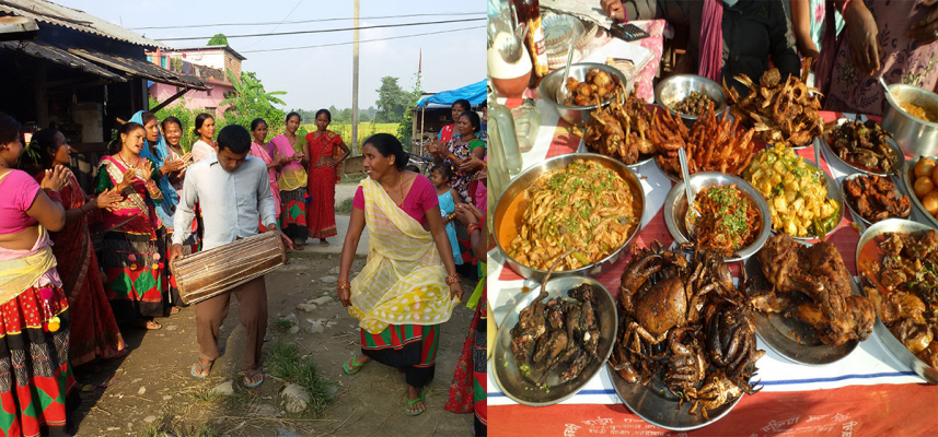 थारू बस्तीमा शुरु भयो माघीको रौनक