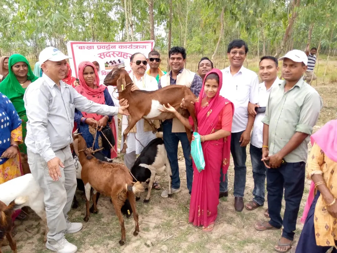 जानकीमा बाख्रा वितरण